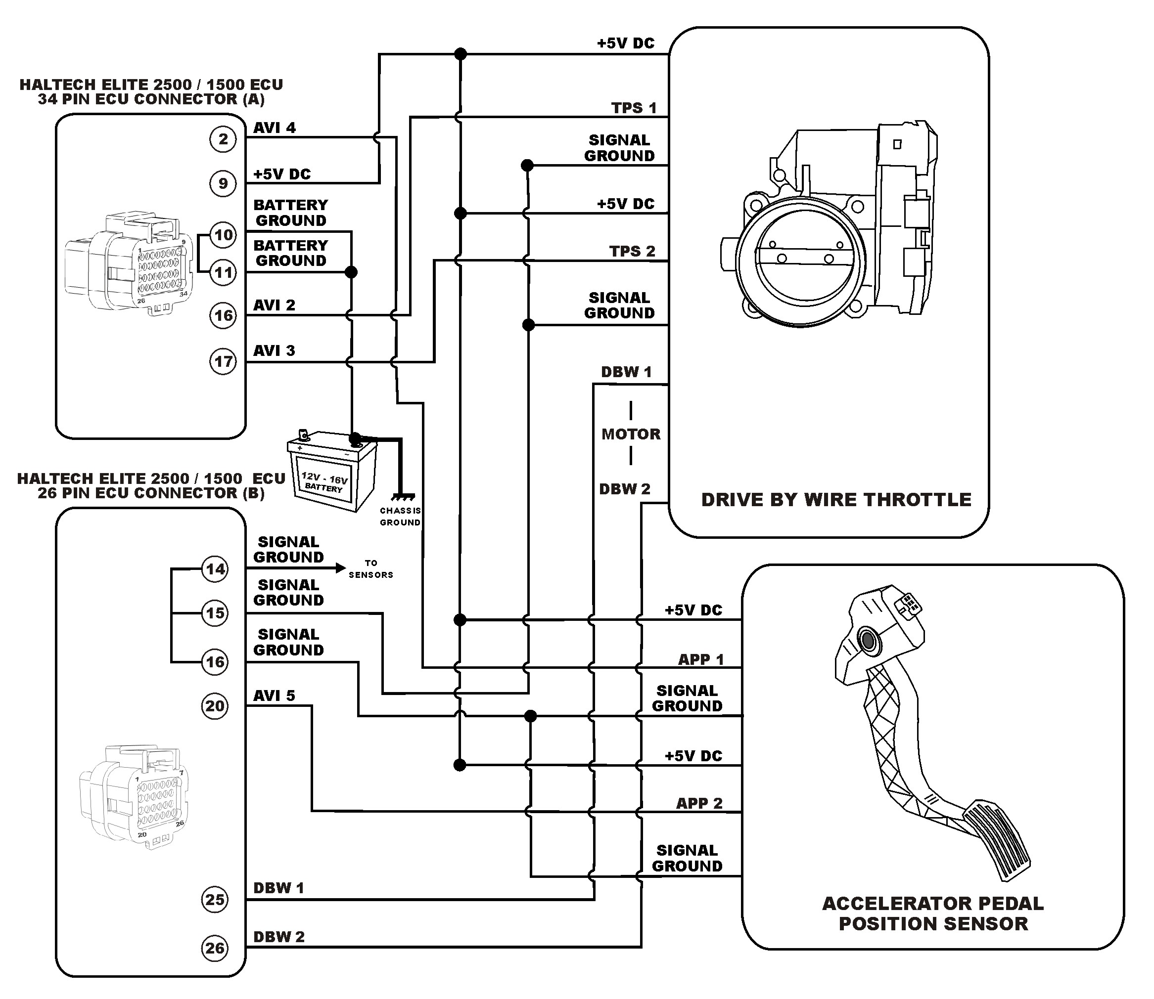 wiring haltech